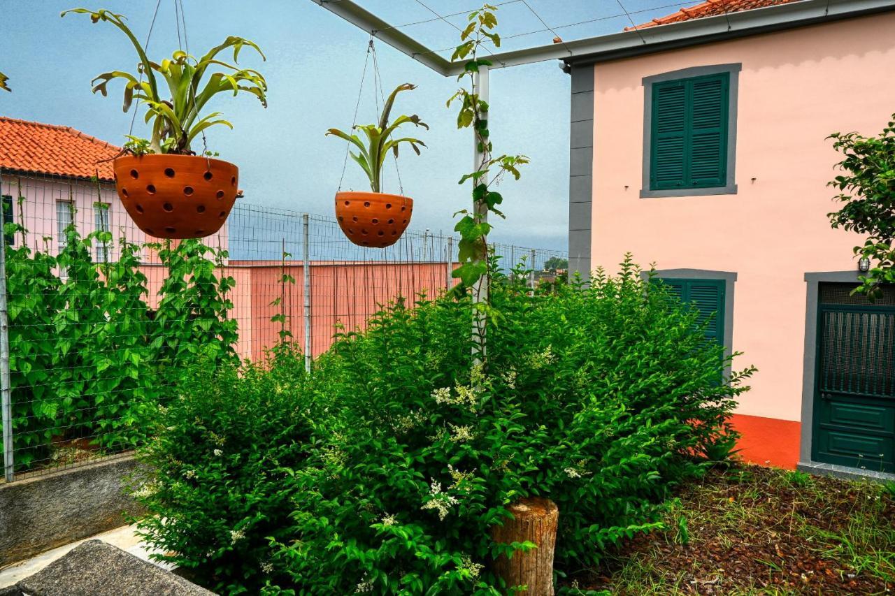 Os Ferreirinhos, A Home In Madeira São Jorge Esterno foto