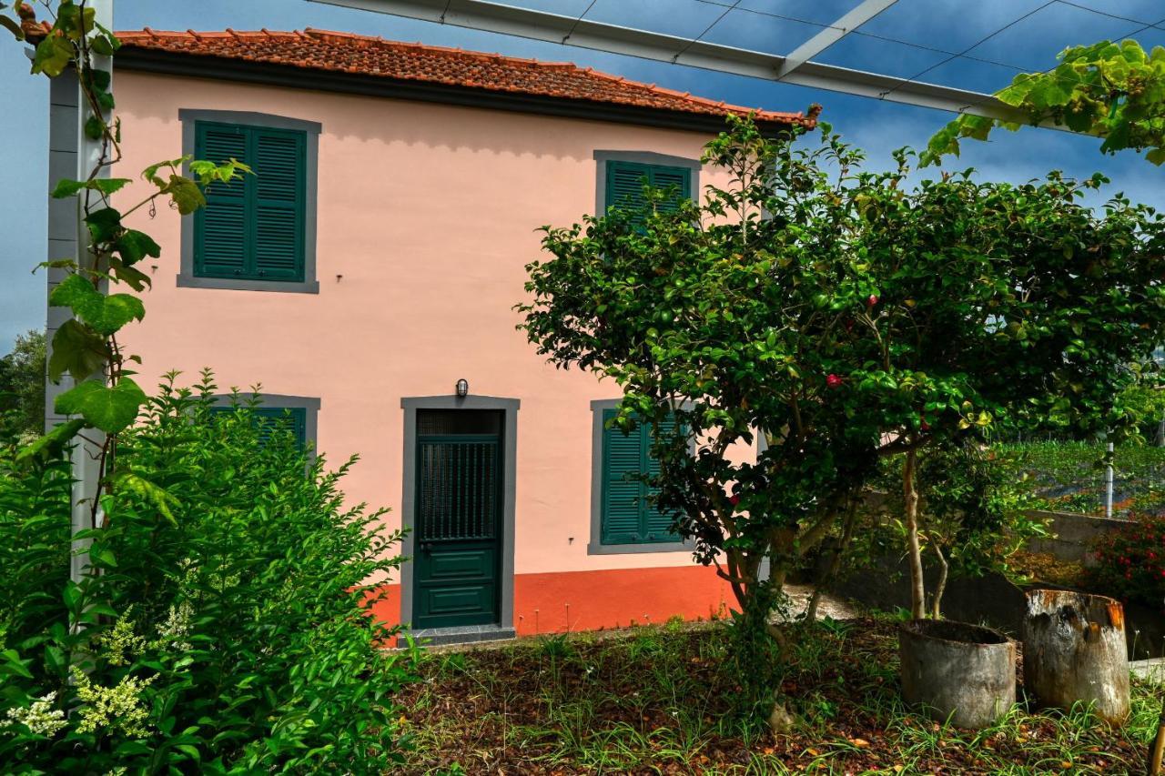 Os Ferreirinhos, A Home In Madeira São Jorge Esterno foto