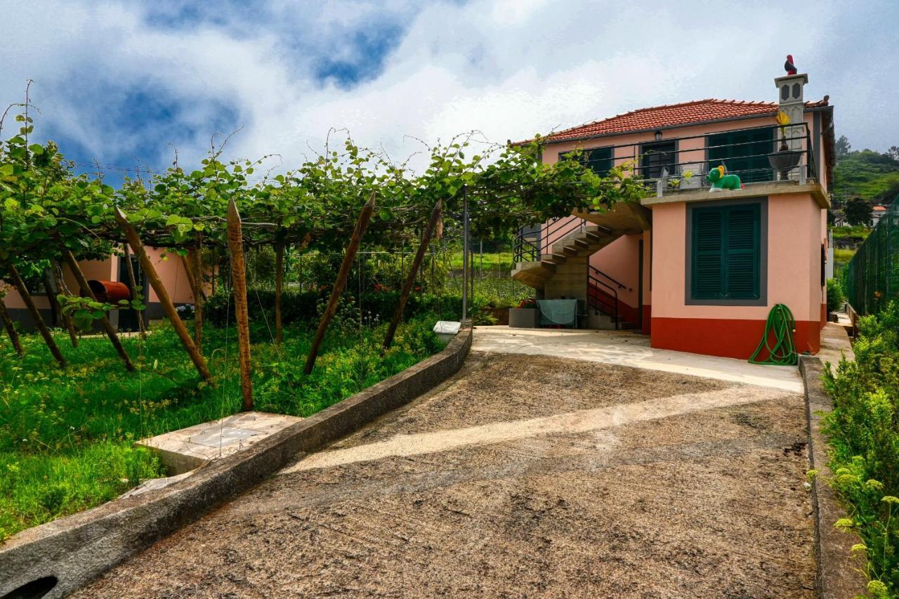 Os Ferreirinhos, A Home In Madeira São Jorge Esterno foto