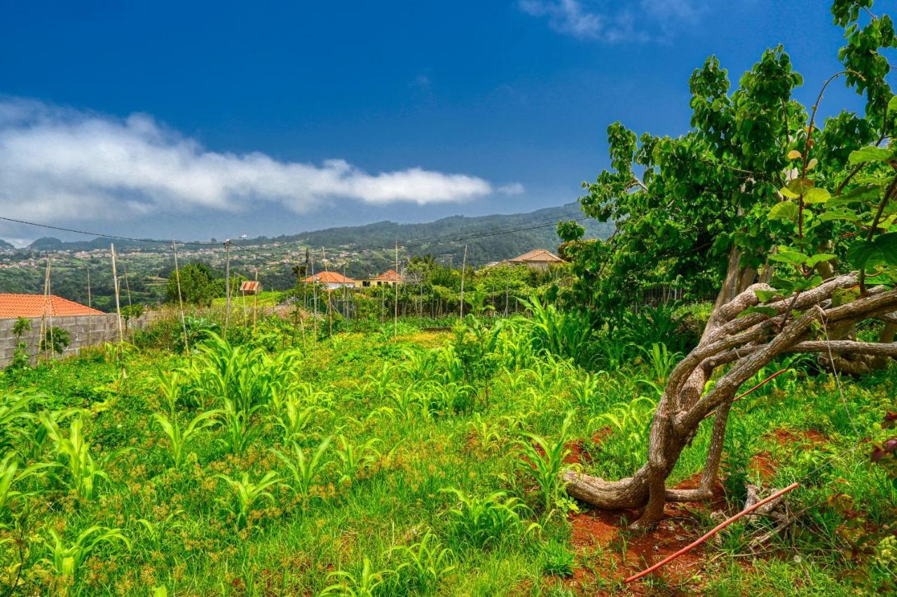 Os Ferreirinhos, A Home In Madeira São Jorge Esterno foto